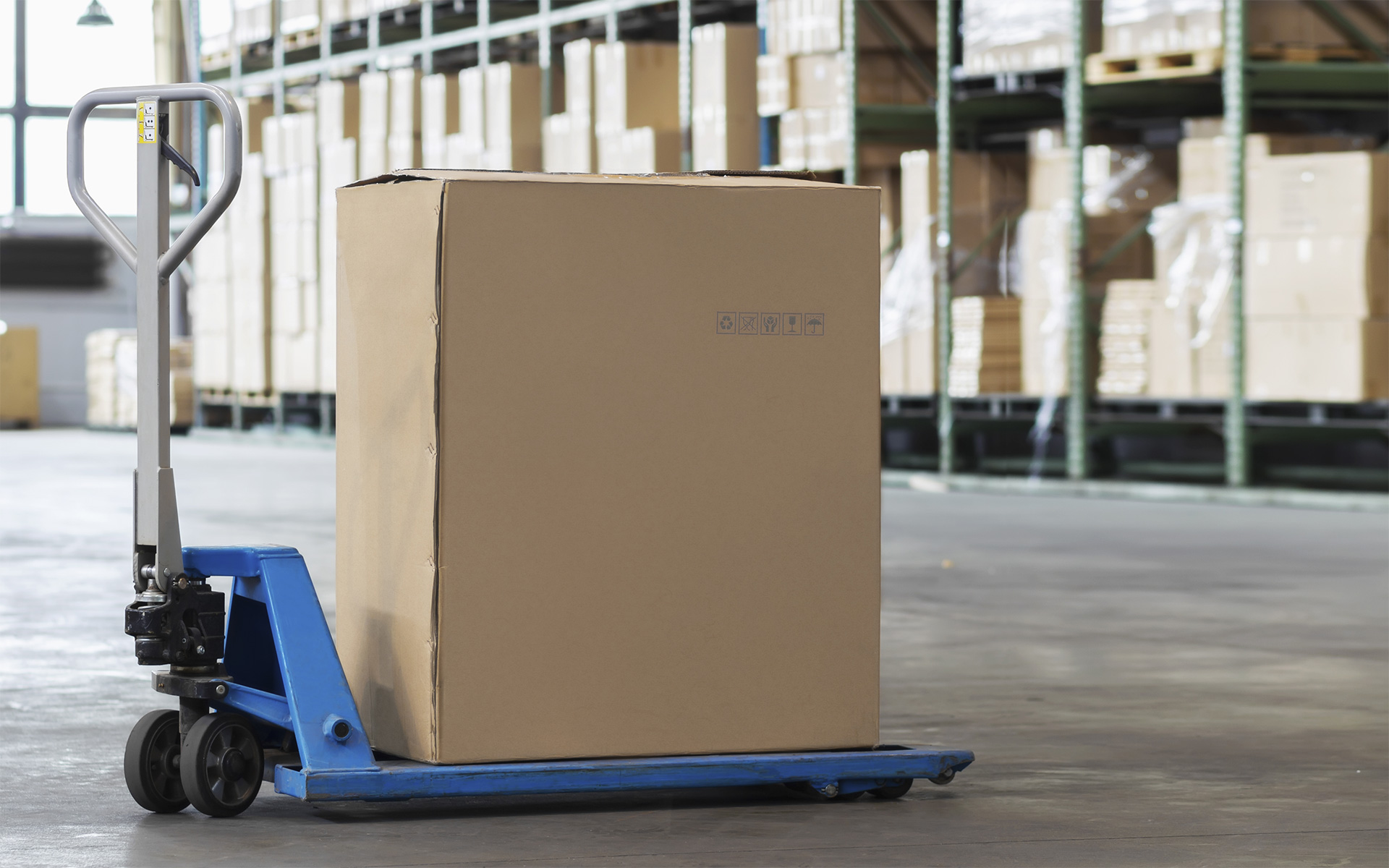 case expo service